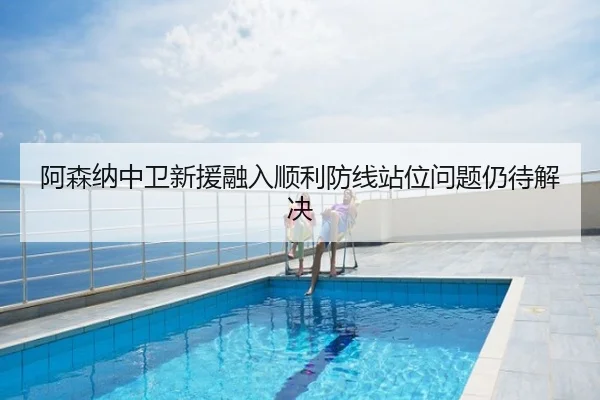 阿森纳中卫新援融入顺利防线站位问题仍待解决