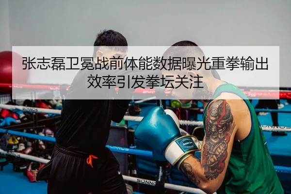 张志磊卫冕战前体能数据曝光重拳输出效率引发拳坛关注